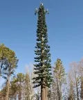 Опора (вышка) сотовой связи в виде сосны