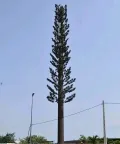 Опора (вышка) сотовой связи в виде сосны
