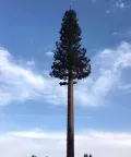 Опора (вышка) сотовой связи в виде сосны